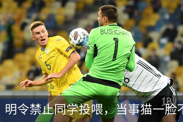 明令禁止同学投喂，当事猫一脸不爽，把“禁令”当空气！